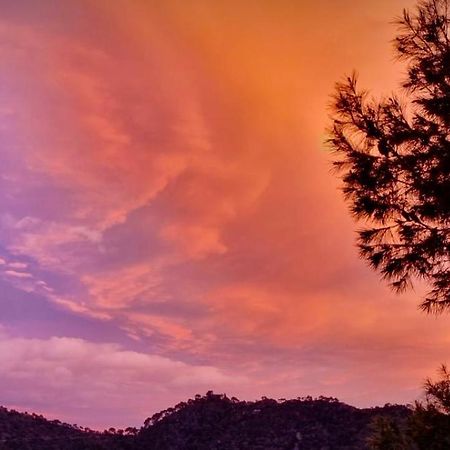 Apartamento En La Montana, Serra Exteriér fotografie